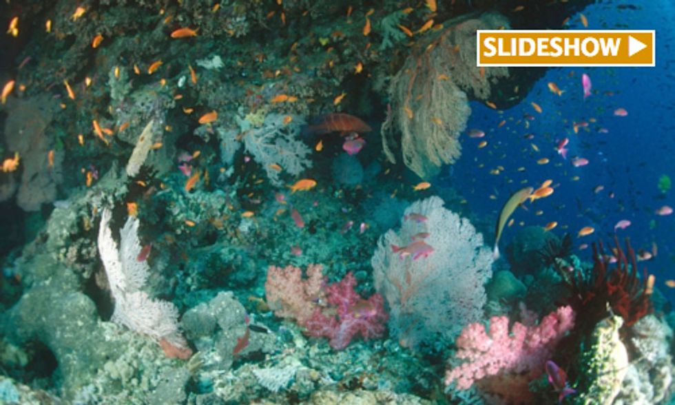 World Oceans Day: 10 Spectacular Places Worth Protecting