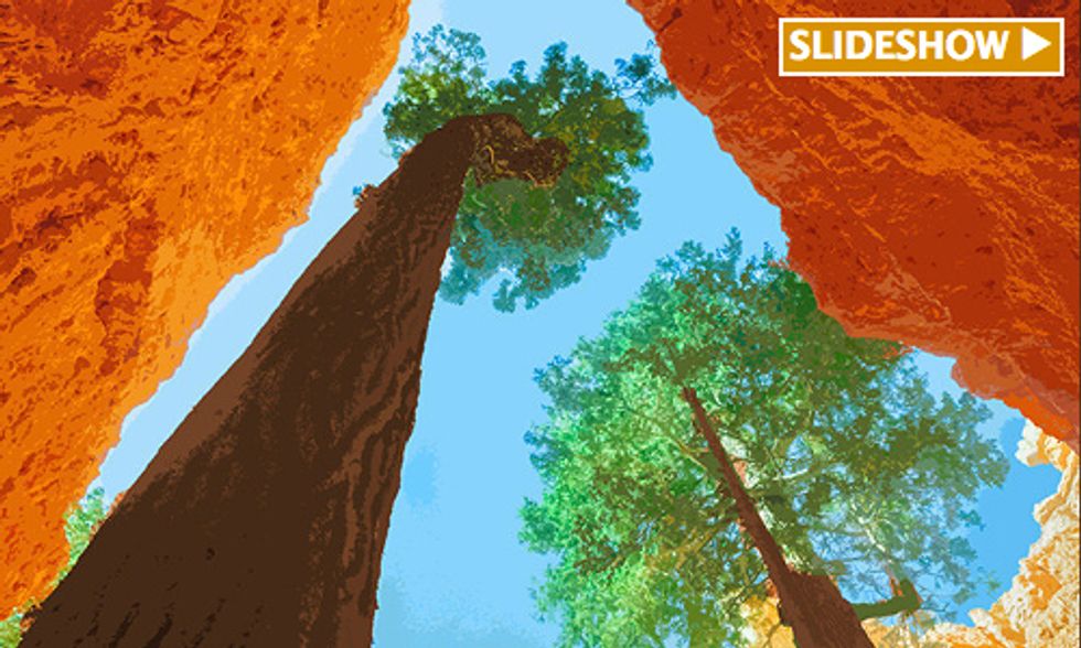 See America's Natural Beauty Through the Eyes of 180+ Artists