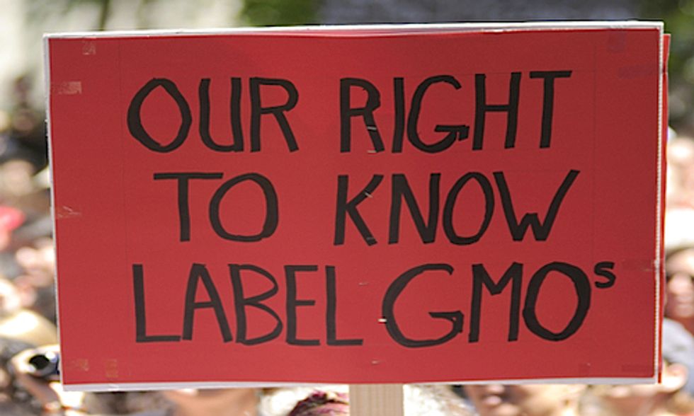 Wave of GMO Labeling Victories Emboldens Movement to Take Back Food Democracy