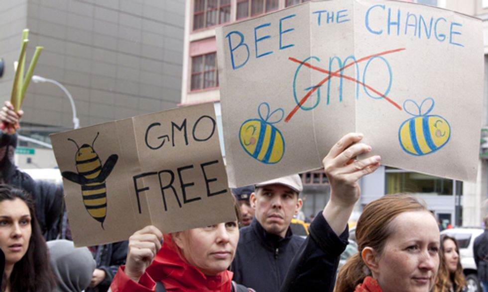 Bee Killers Sponsor National Pollinator Week (And 3 Ways They Are Killing Bees)