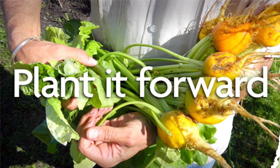 Plant it Forward: Apply Today for a $15,000 Gardens for Good Grant