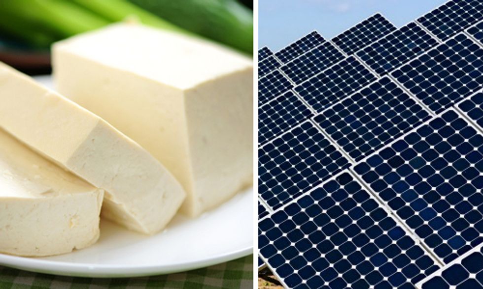 Tofu Ingredient Offers a Taste of Cheaper, Safer Solar Energy
