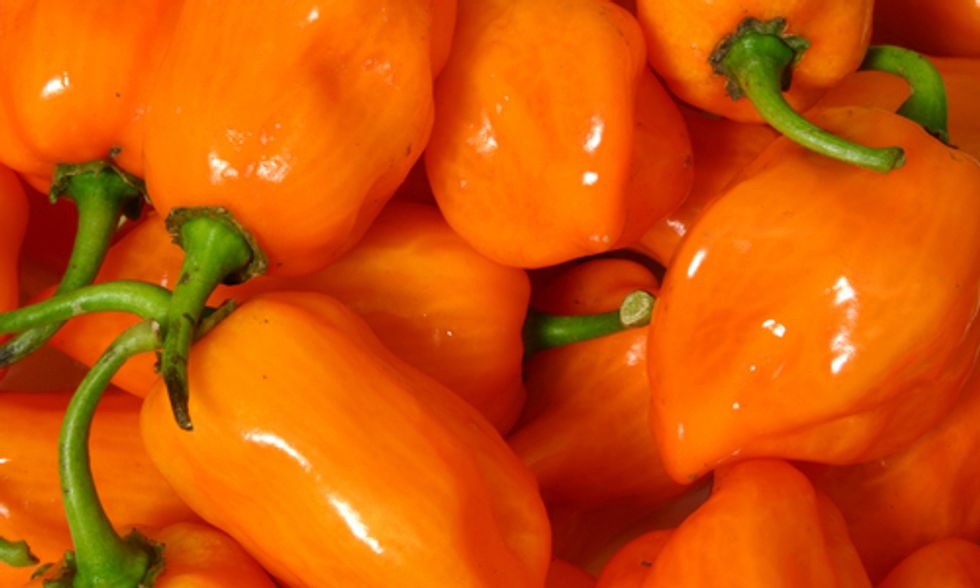 4 Benefits of Eating Habanero Peppers