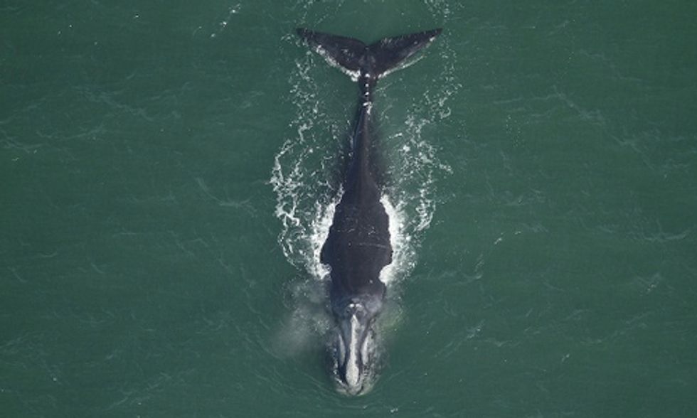 Another North Carolina Town Stands Up Against Offshore Oil and Gas Exploration