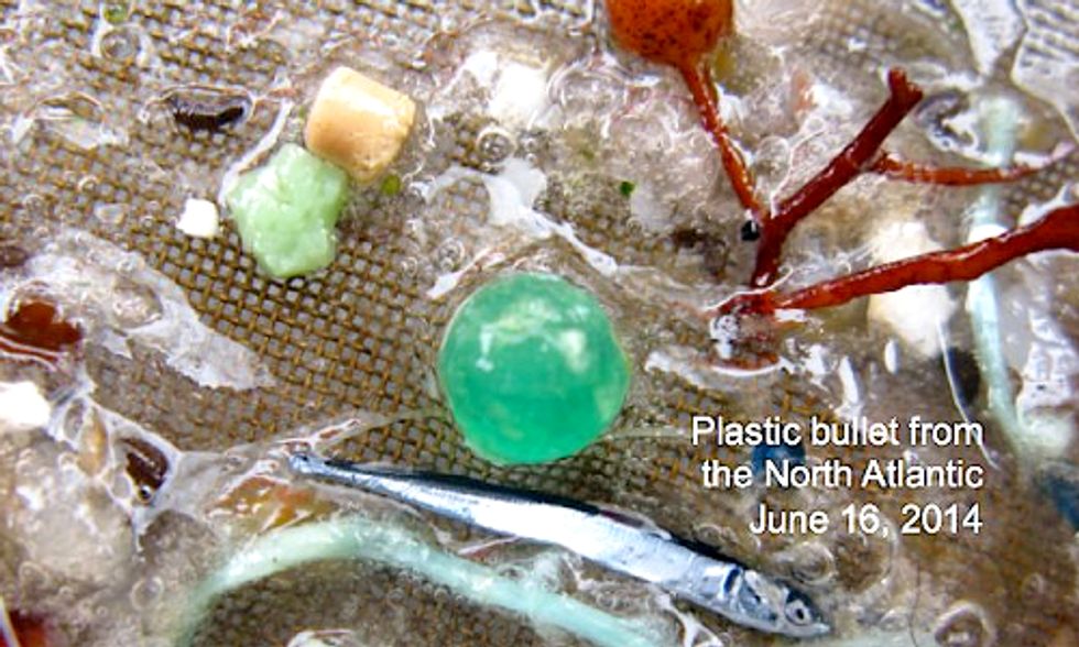 5 Gyres Institute Finds Plastic in Every Ocean Sample From Bermuda to Iceland