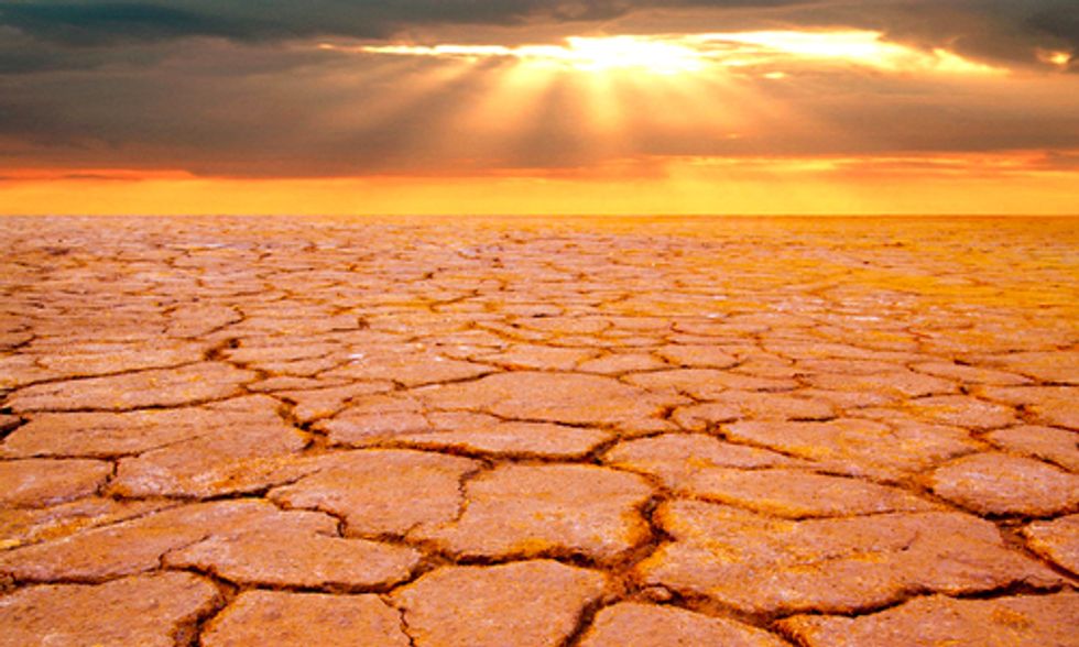 The Economics of Global Warming