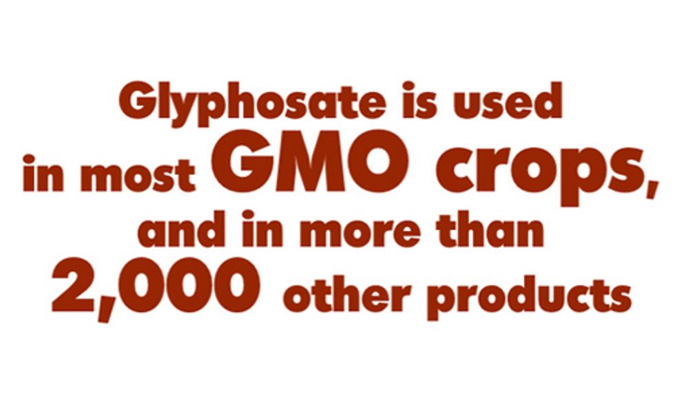 Expose the Dangers of Glyphosate in Monsanto's Roundup by Supporting this Indiegogo Campaign