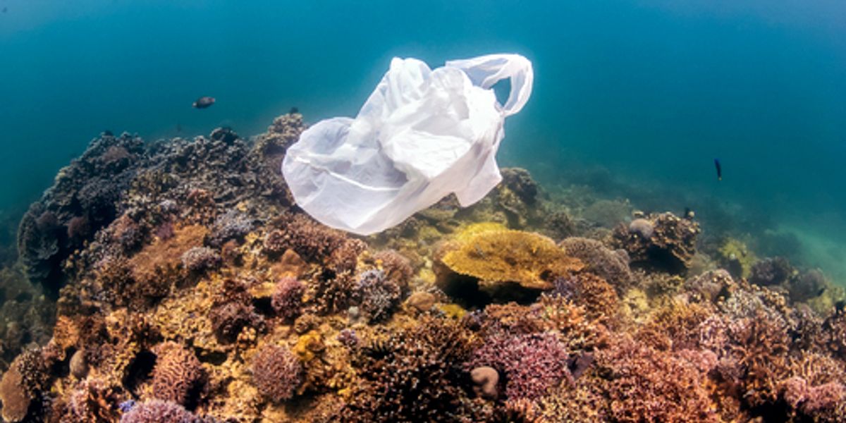 FirstofitsKind Map Details Extent of Plastic in Five Ocean Gyres EcoWatch