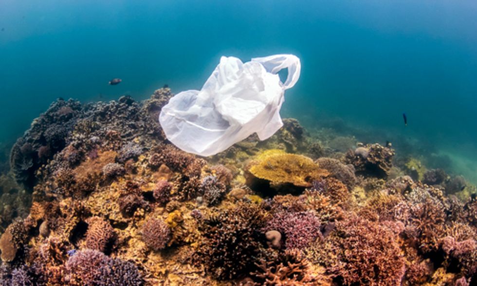 First-of-its-Kind Map Details Extent of Plastic in Five Ocean Gyres ...