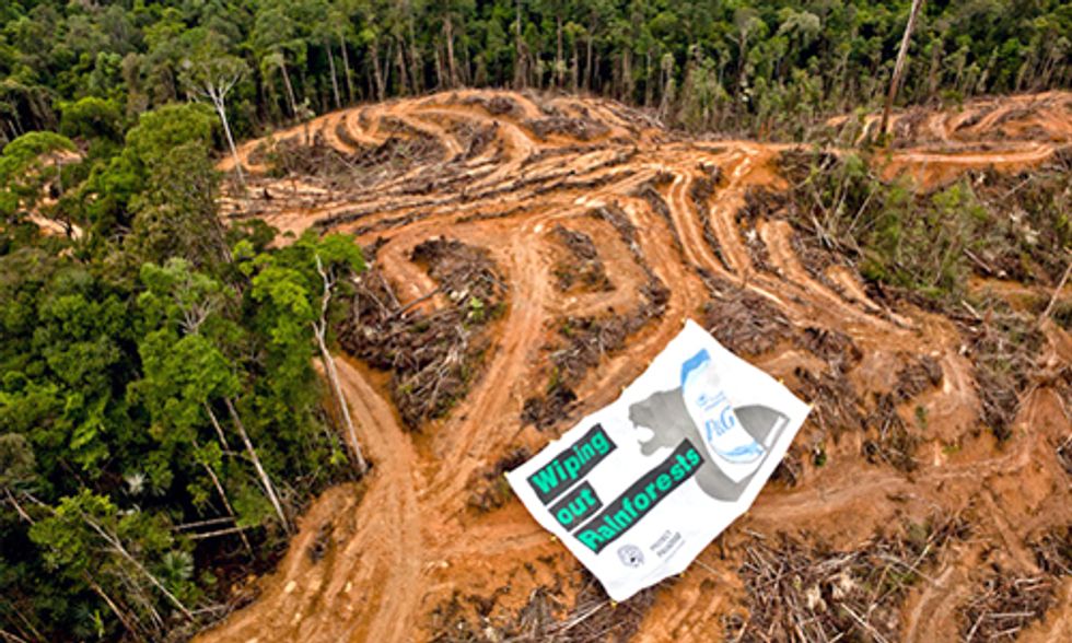 How Palm Oil Ravages Rainforests, Endangers Wildlife and Destroys Communities