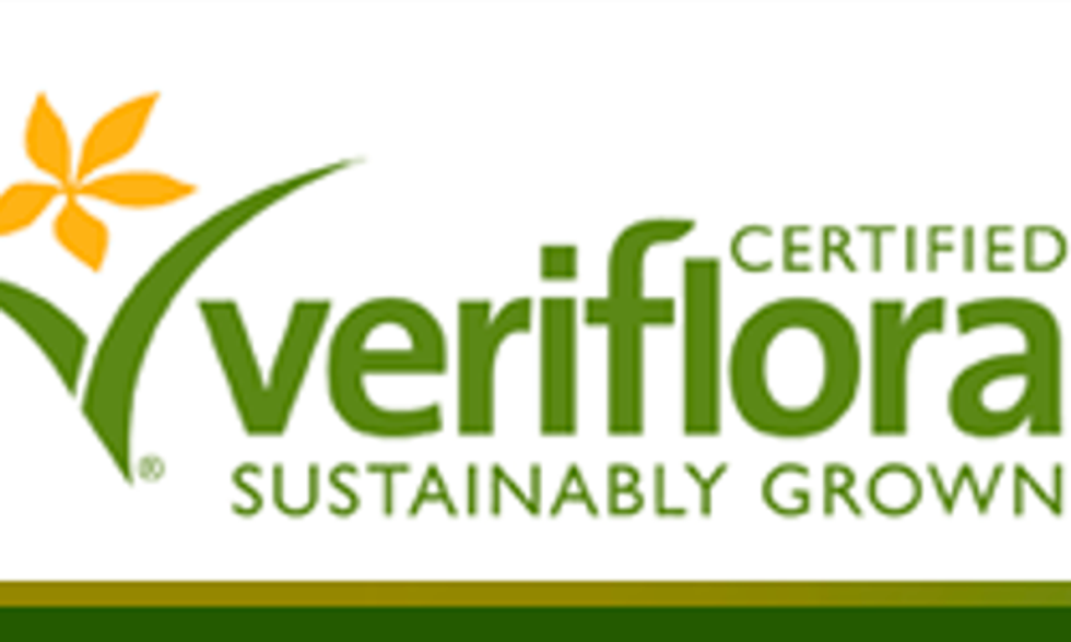 13 Eco-Labels to Look for When Shopping