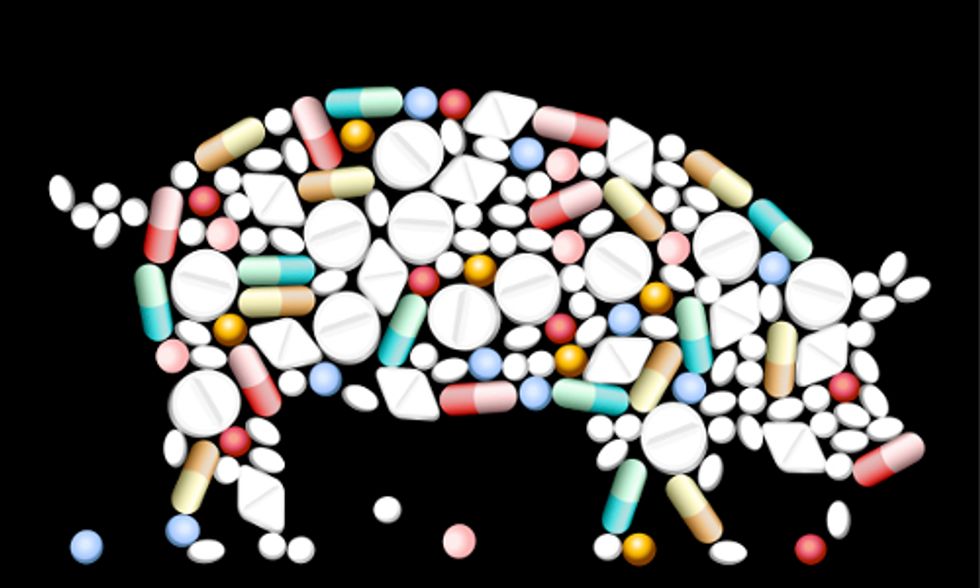 Court Rules Rampant Misuse of Antibiotics on Factory Farms Can Continue - EcoWatch