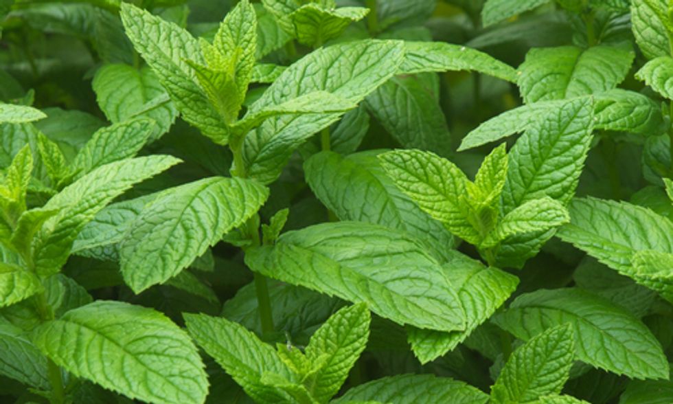 Powerful Antioxidant You Can Eat, Drink or Apply to Your Skin