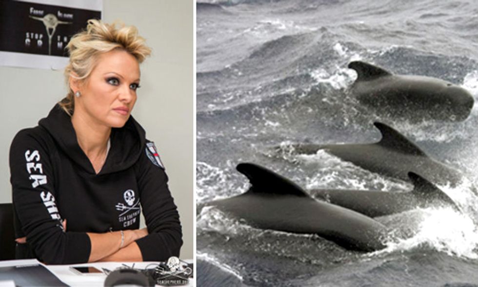 Pamela Anderson Shines Spotlight on Brutal and Archaic Mass Slaughter of Pilot Whales