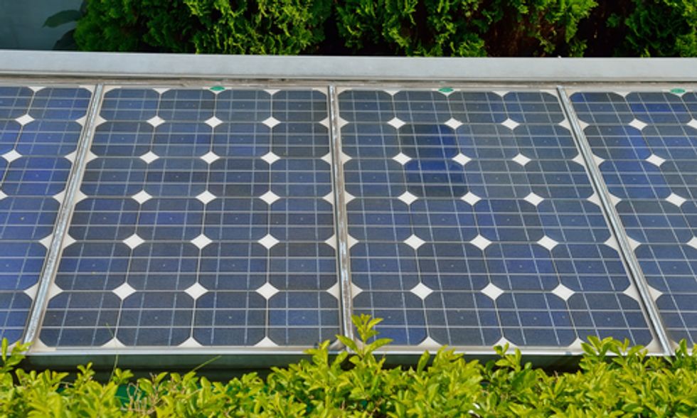 Top 10 States Leading the U.S. in Solar Energy Growth