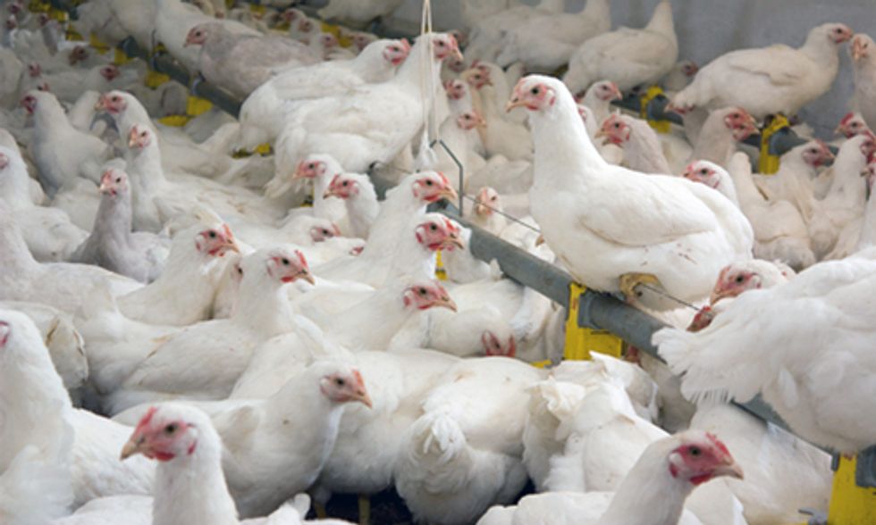 Government Fails to Protect American's from Superbug Epidemic
