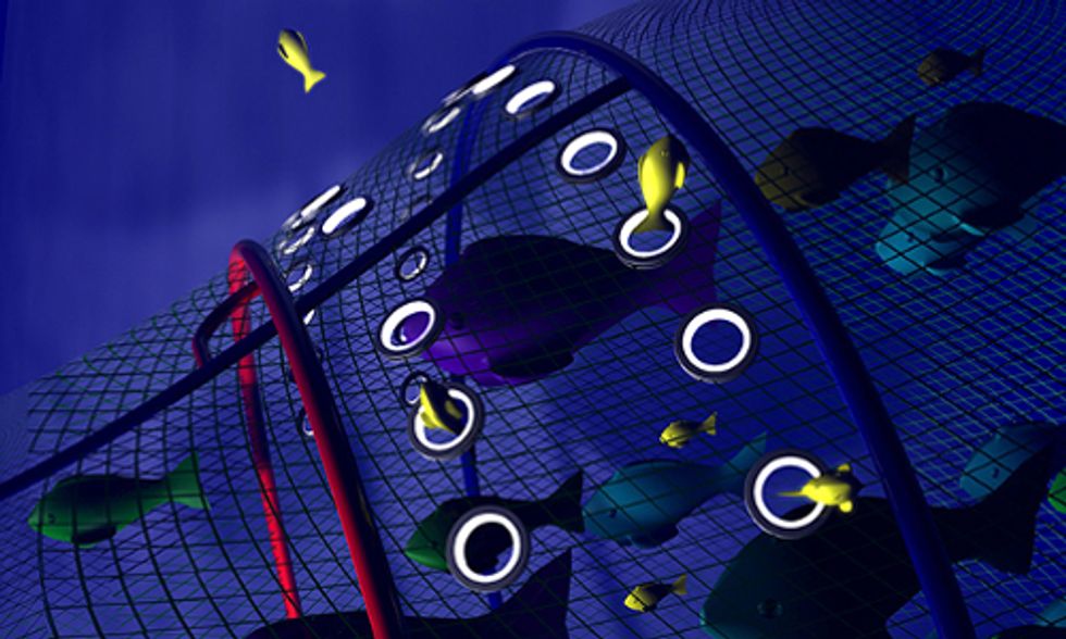 Bye Bye Bycatch? Smart Nets That Save Fish