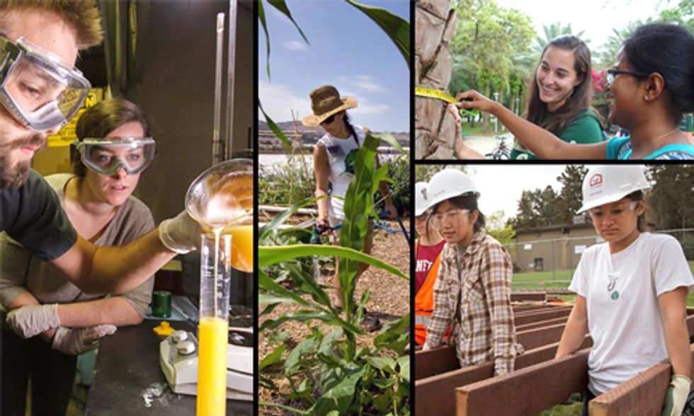 America’s Top 10 'Coolest Schools' in Sustainability