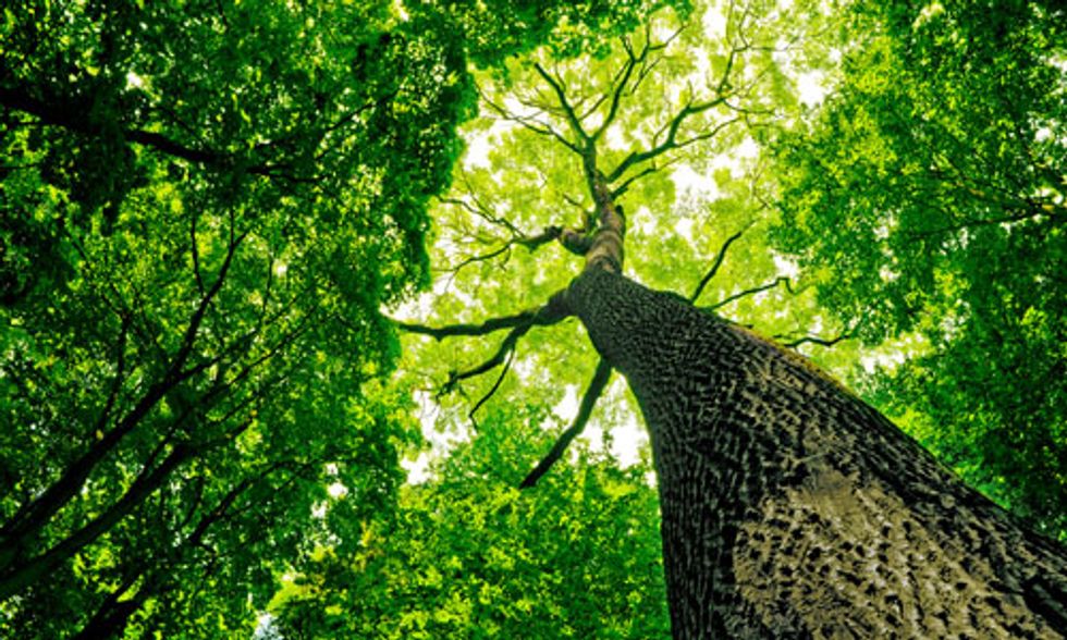 David Suzuki: Put People Before Politics