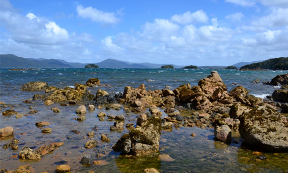 Ocean Acidification Threatens Economies and Cultures Around the World