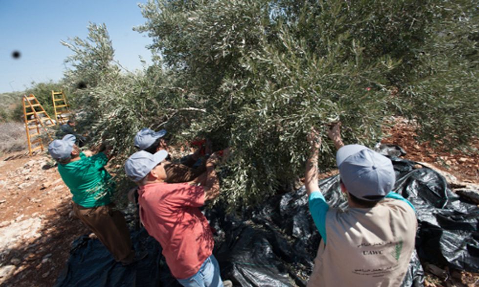 Groups Defending Human Rights to Food and Water Receive Food Sovereignty Prize