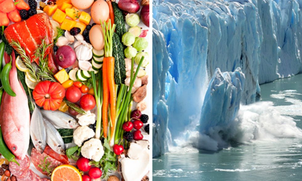 How Diet and Climate Change Are Intrinsically Linked