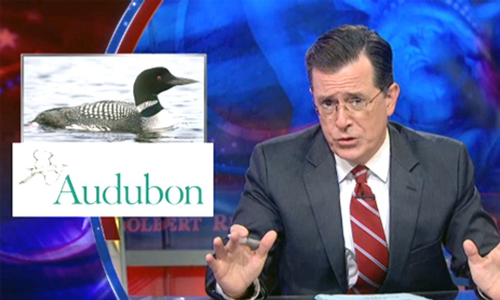 Stephen Colbert: U.S. Needs New National Bird in Face of Climate Change
