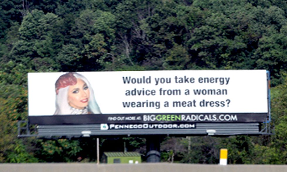 Billboards Attack Anti-Fracking Celebrities
