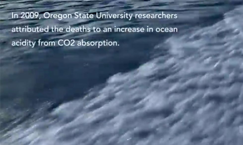 How Oyster Farms Are Impacted by Climate Change
