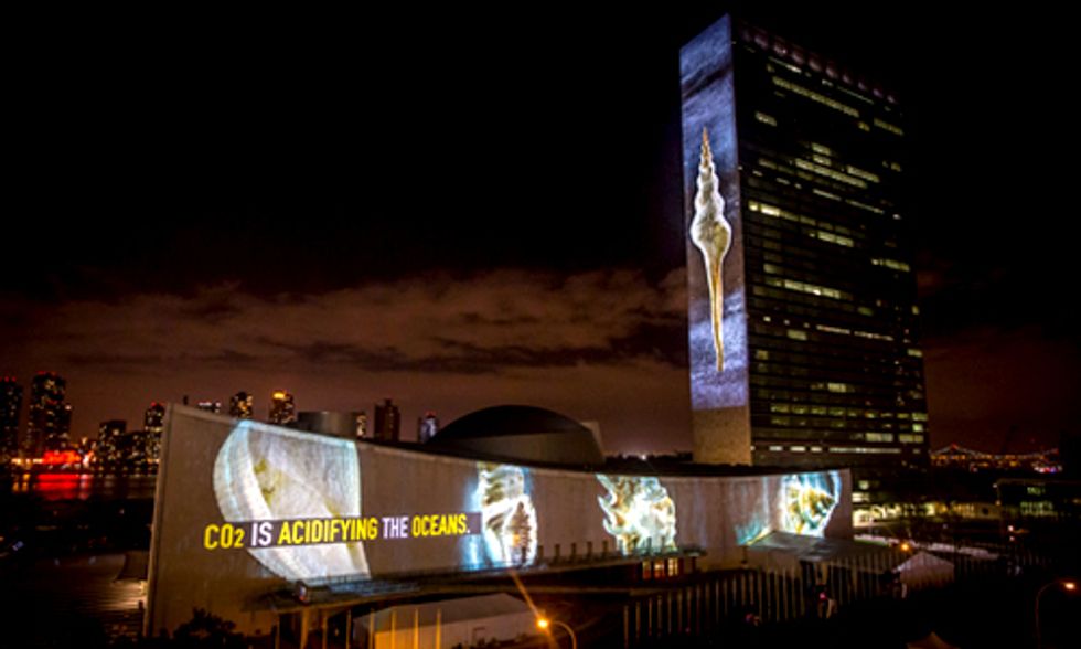 illUmiNations: Exposing the Cause Behind the Extinction of Species