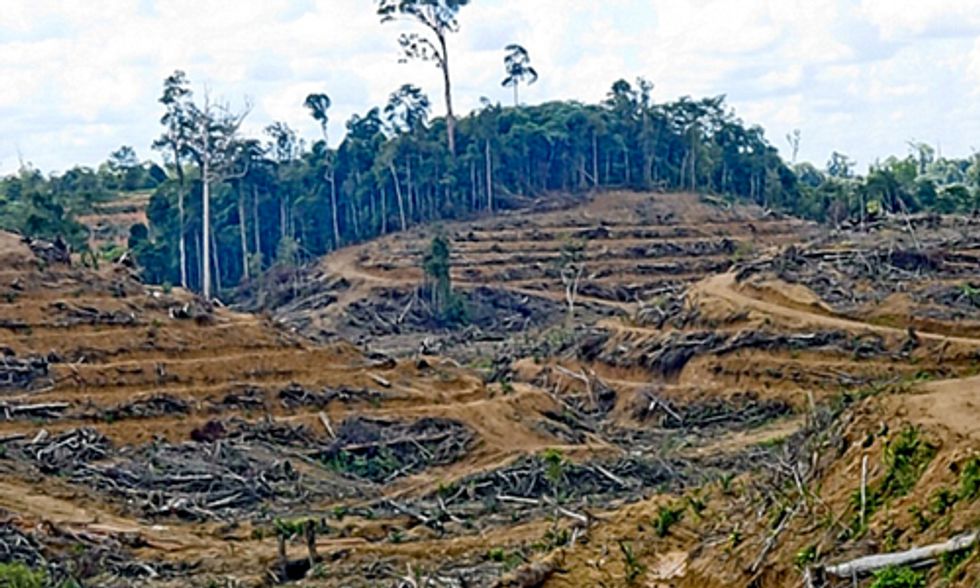 Carbon Neutral and Sustainable Are Simply Not Enough