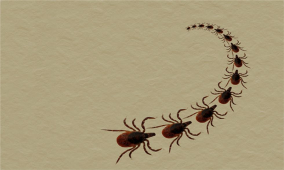 Climate Change Linked to Spread of Lyme Disease
