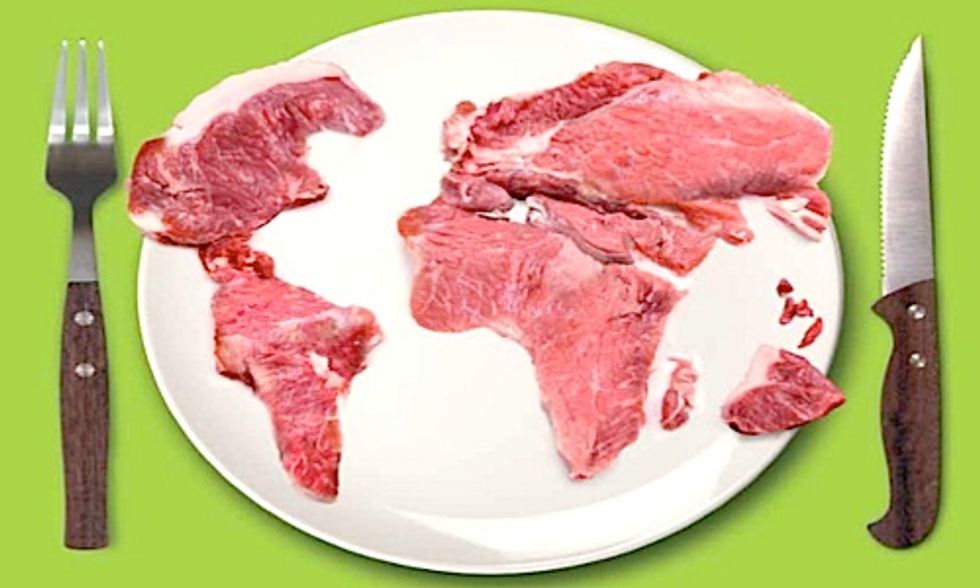 The Meat Atlas: Facts and Figures About Industrial Food Production