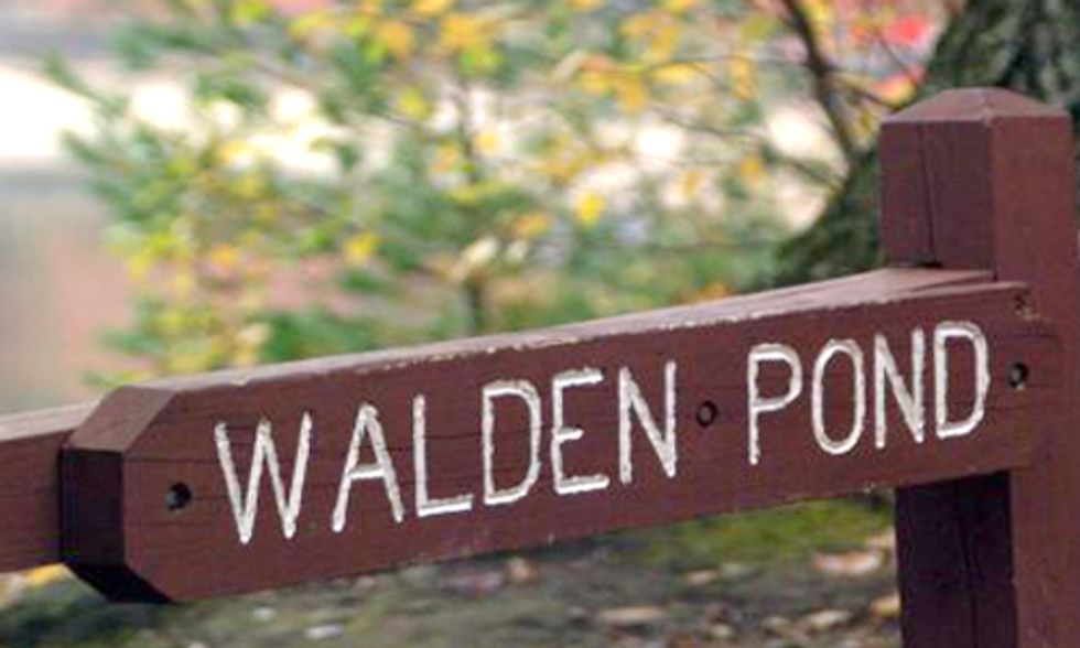 How Climate Change is Impacting Thoreau's Walden Pond