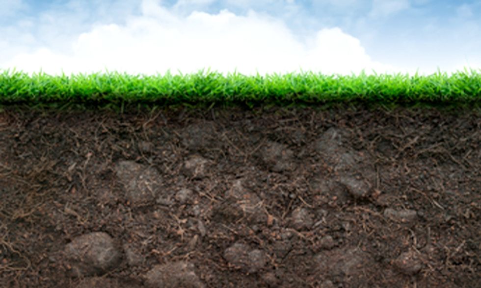 Soil Microbes Alter DNA in Response to Climate Change