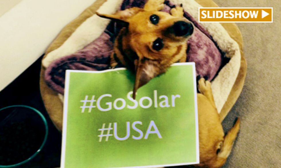 Thousands Participate in 'Shout Out For Solar' Day