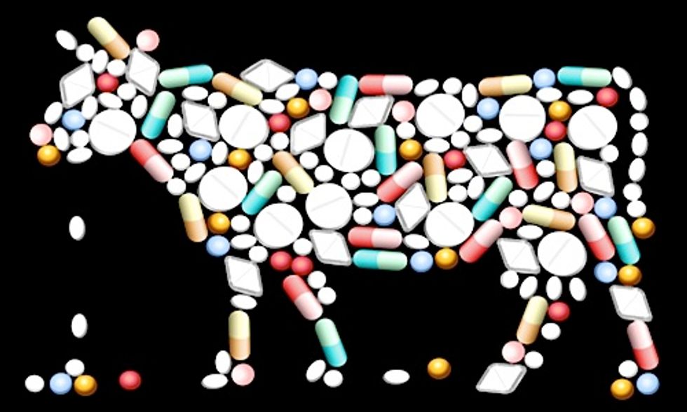 Newly Disclosed Documents Reveal Livestock Antibiotic Use by FDA Despite 'High Risk' to Humans