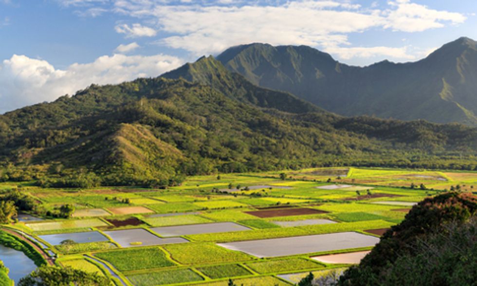 Hawaii Introduces Bill to Block Local GE and Pesticide Bans