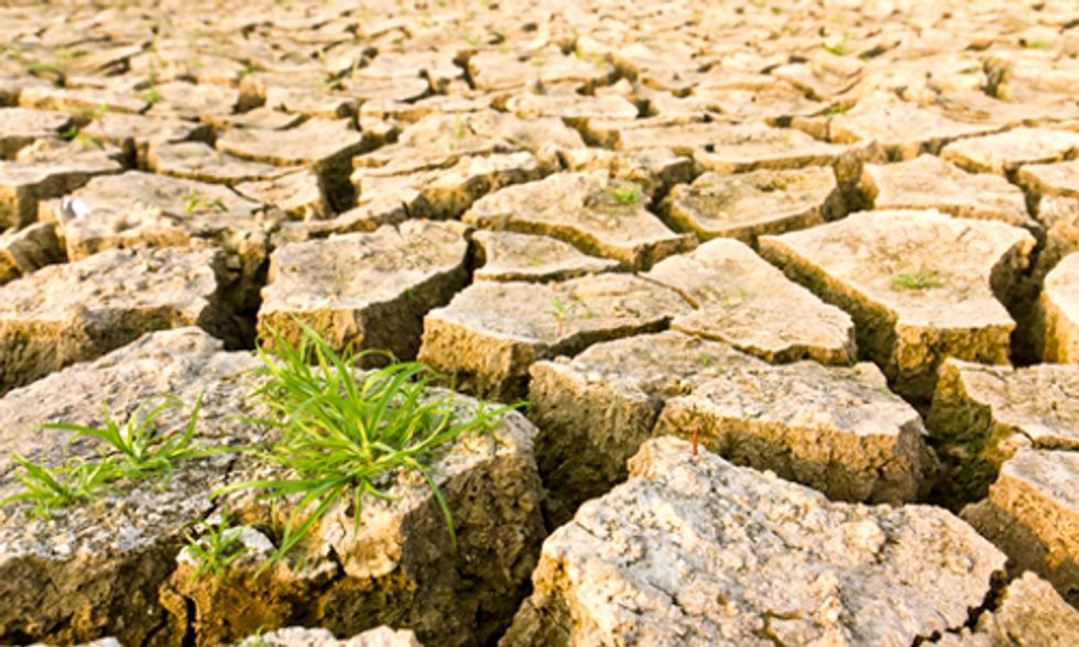 Reports Affirm Climate Change Could Lead to Drastic Increases In Food Prices