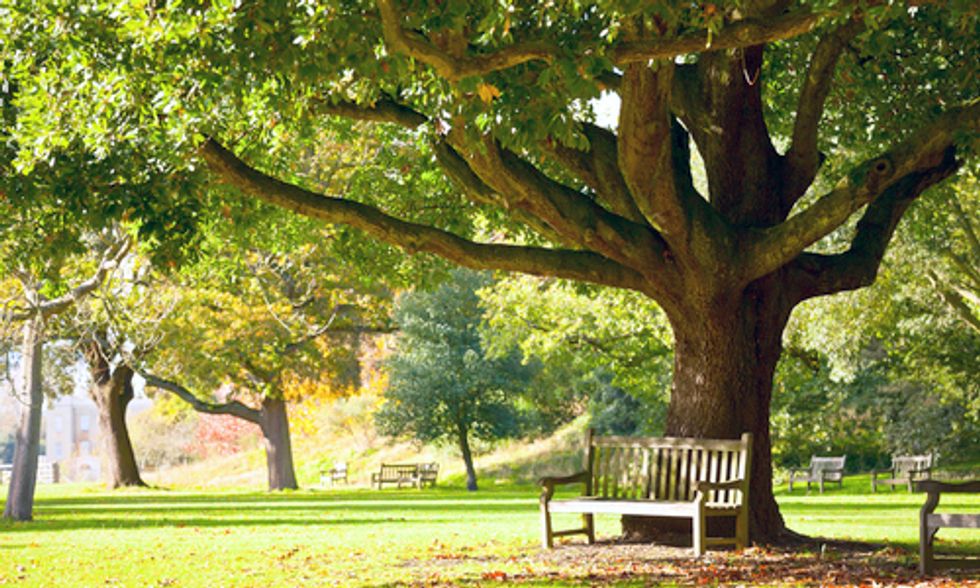 Study Shows Living Close to Nature Improves Mental Health
