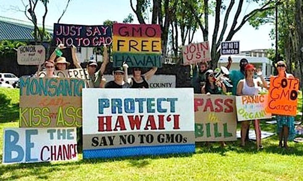 Another Victory Strengthens Local GE and Pesticide Bans in Hawaii