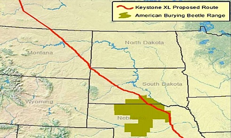 Senior Officials Accused of Skewing Science to Benefit Keystone XL Pipeline