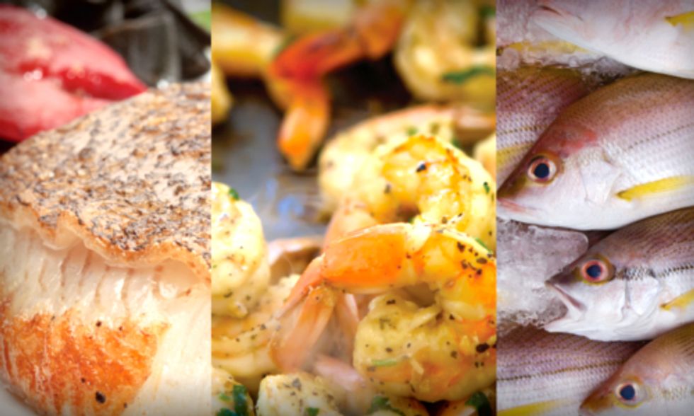 Fish Farms to Produce Two-Thirds of Global Supply by 2030