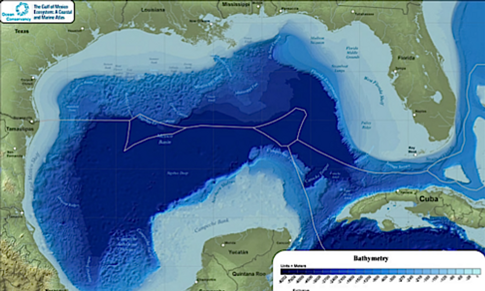 Scientist Takes a Closer Look at the Deep-Sea Impacts of BP Gulf Oil Spill