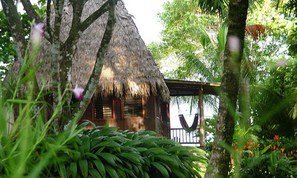 4 Romantic Rainforest Retreats
