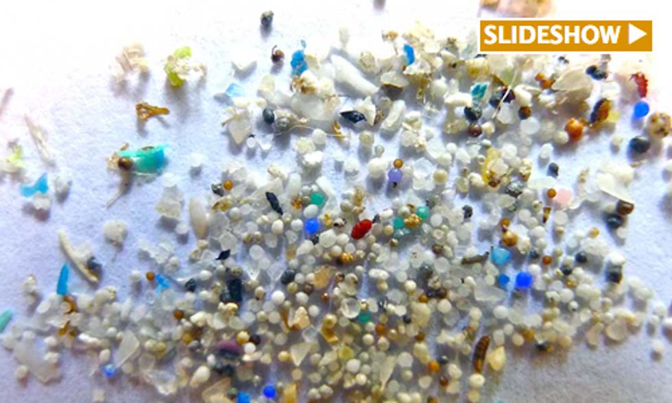 New York and California Introduce Legislation to Ban Plastic Microbeads in Cosmetics