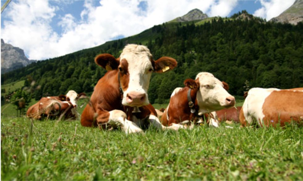 China's Push to Corner Global Meat Market Could Yield Disastrous Results