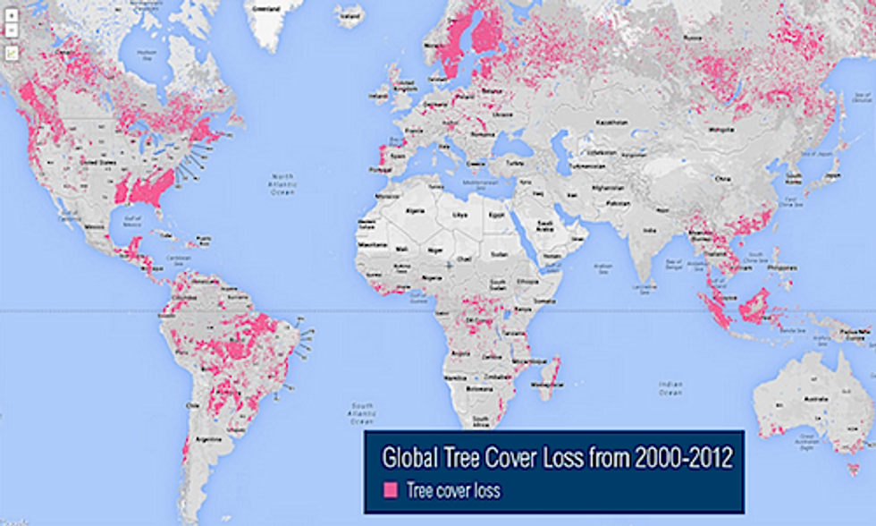 9 Maps That Analyze the World's Forests