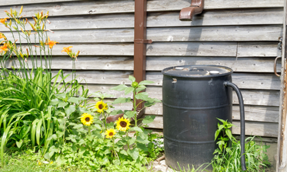 In Wake of Elk River Chemical Spill West Virginians Turn to Rainwater Harvesting