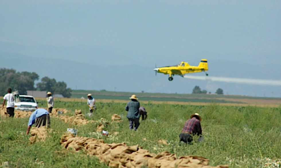 Long-Overdue EPA Pesticide Regulations Fail to Fully Protect Farmworkers